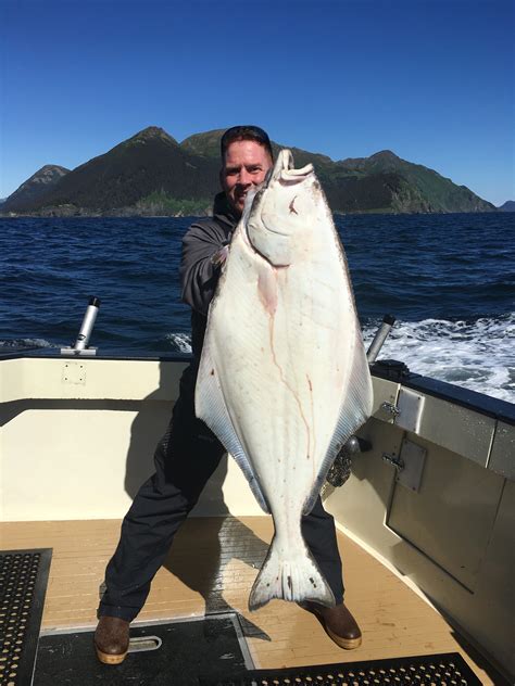 Alaska Fishing Charters & Trips .